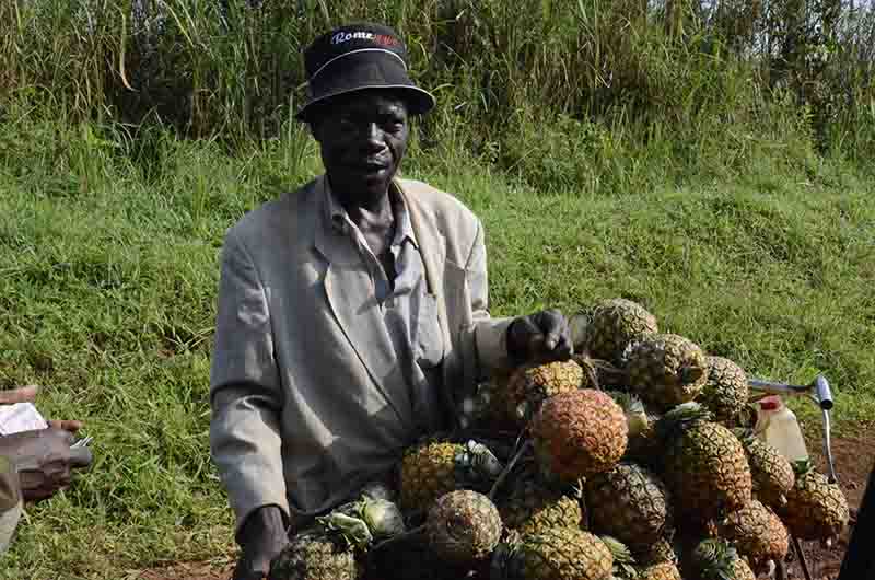 35 - Uganda - vendedor de pinyas